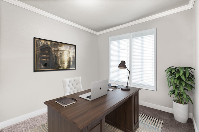 carpeted office space featuring crown molding