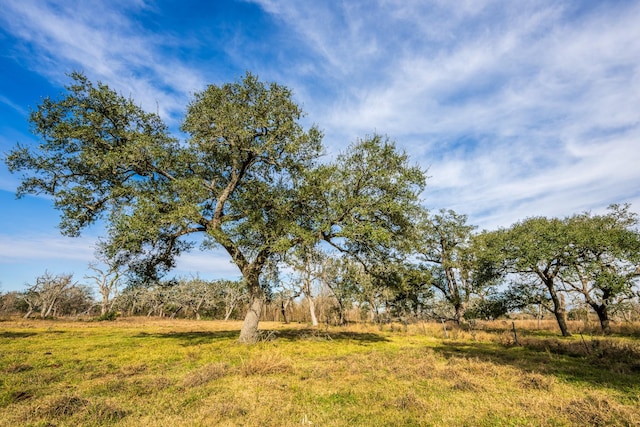 Listing photo 2 for 19329 County Road 319, Brazoria TX 77422