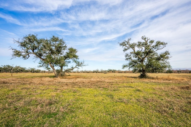 Listing photo 3 for 19329 County Road 319, Brazoria TX 77422