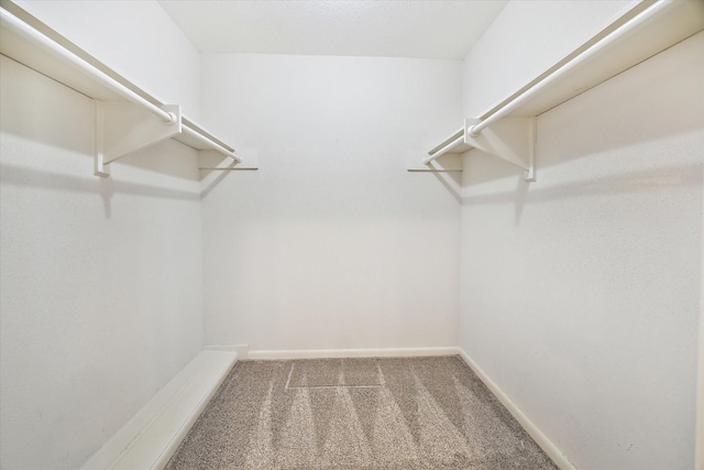 spacious closet with carpet floors