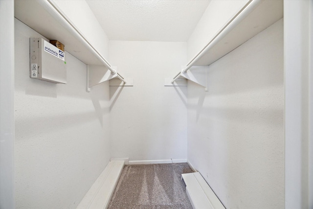 walk in closet featuring carpet flooring