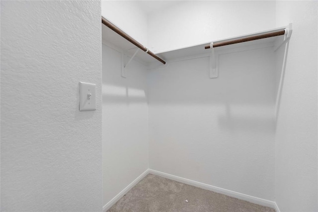 walk in closet with carpet flooring