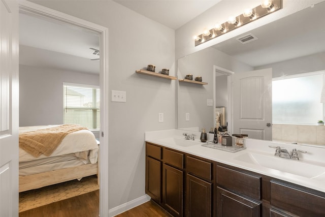 bathroom featuring wood-type flooring and vanity