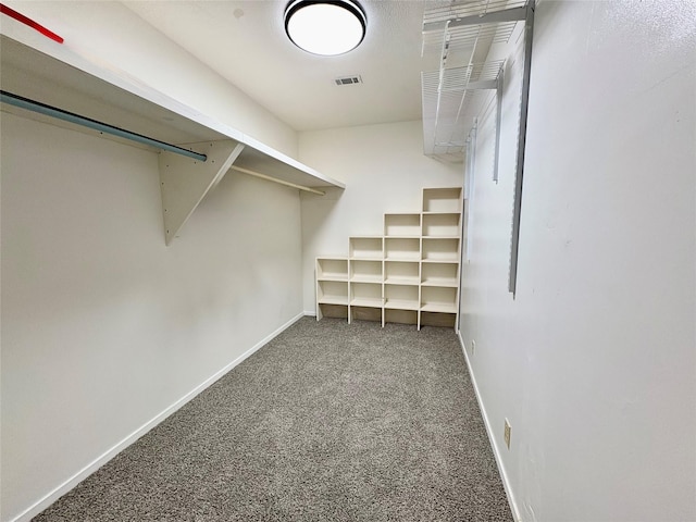 spacious closet featuring carpet flooring