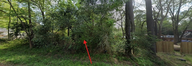 TBD Pine Dr, New Caney TX, 77357 land for sale