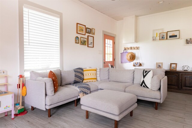 living room featuring light hardwood / wood-style flooring