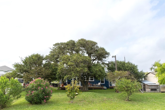 view of yard featuring a deck