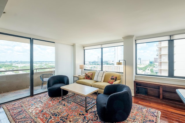 living room featuring hardwood / wood-style flooring