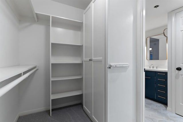 spacious closet featuring sink