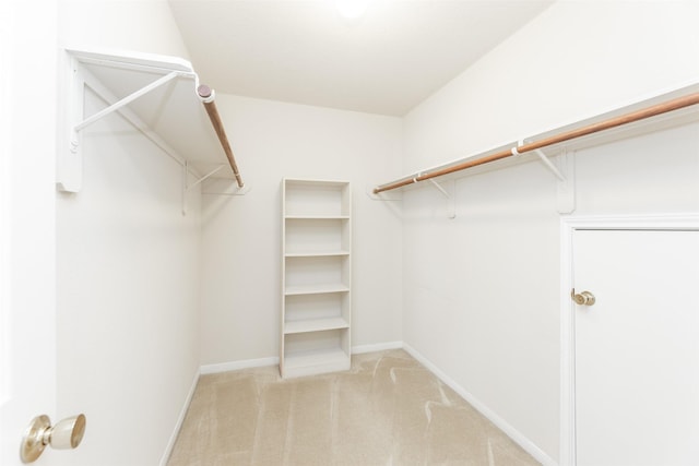 walk in closet with light colored carpet