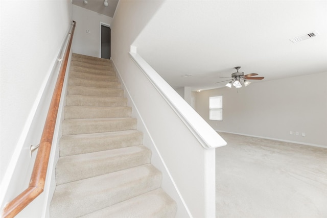 staircase featuring ceiling fan and carpet floors