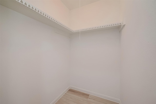 spacious closet featuring light wood-type flooring