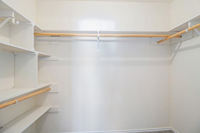 spacious closet with carpet flooring