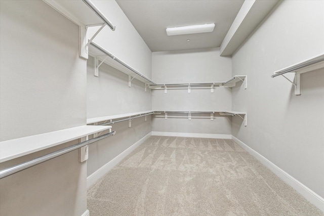 walk in closet with light colored carpet