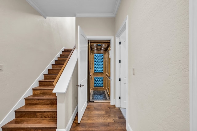 staircase featuring hardwood / wood-style flooring and crown molding