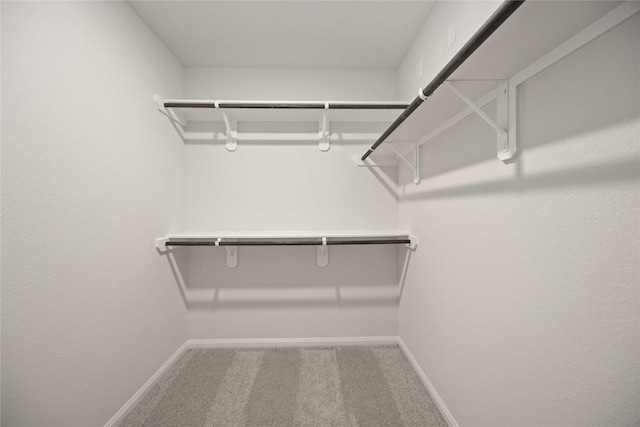 spacious closet with carpet flooring