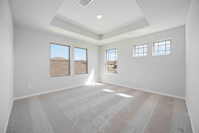 carpeted spare room with a raised ceiling