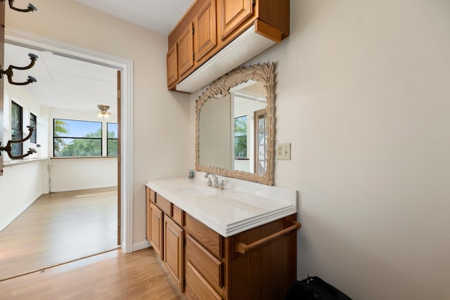 bathroom featuring hardwood / wood-style floors and vanity