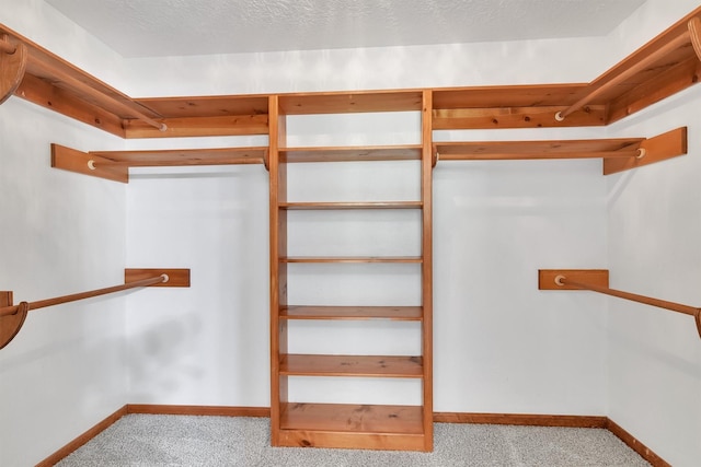 walk in closet featuring light colored carpet