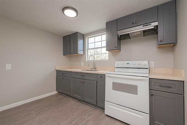 kitchen featuring light hardwood / wood-style floors, sink, white electric range oven, and gray cabinetry