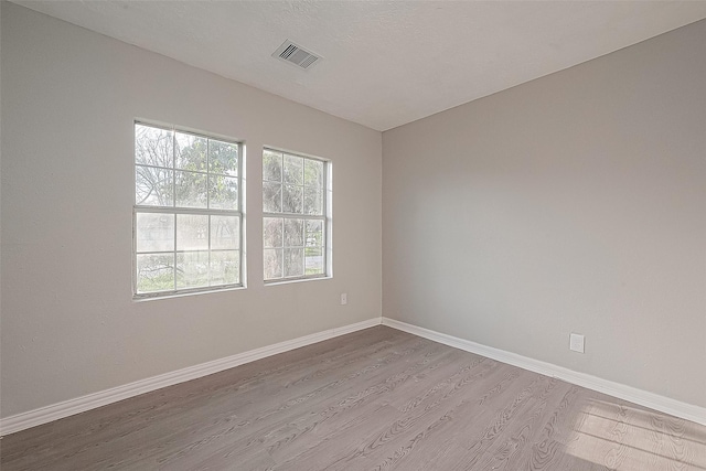 empty room featuring a wealth of natural light and light wood-type flooring