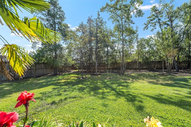 view of yard featuring a fenced backyard