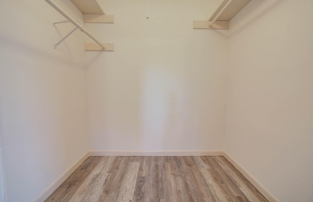 walk in closet with light hardwood / wood-style flooring