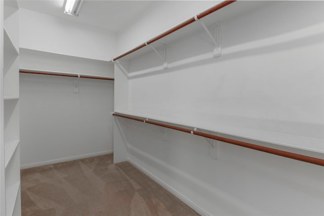 walk in closet with light colored carpet