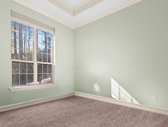 spare room with carpet, a tray ceiling, and ornamental molding