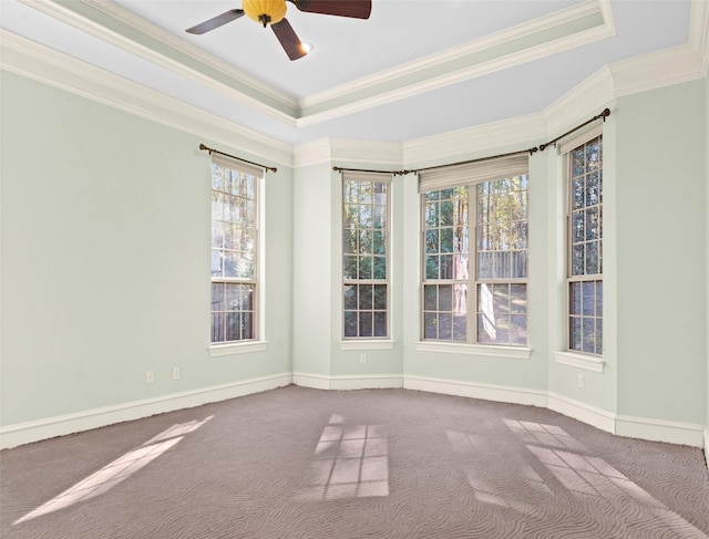 carpeted spare room with ceiling fan, crown molding, and a tray ceiling