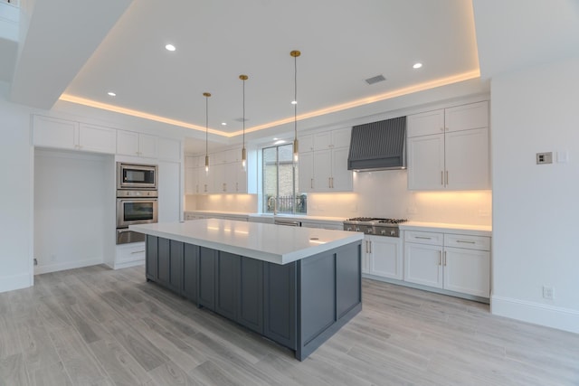 kitchen with white cabinetry, stainless steel appliances, a tray ceiling, and custom exhaust hood