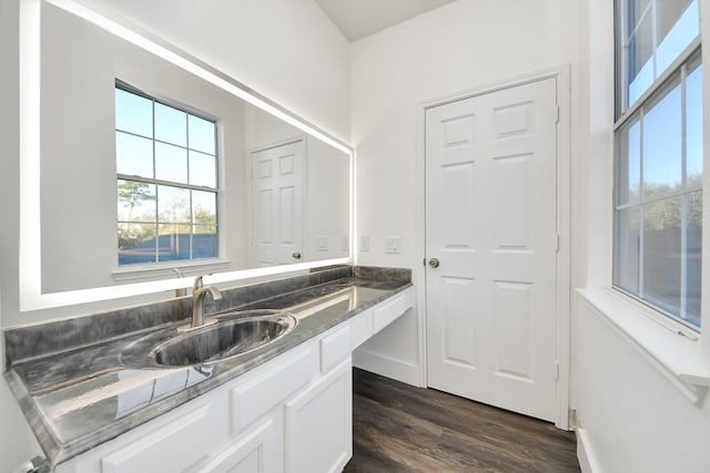 bathroom with wood-type flooring and vanity