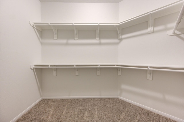 walk in closet with carpet floors