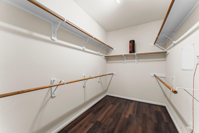 spacious closet featuring dark hardwood / wood-style flooring