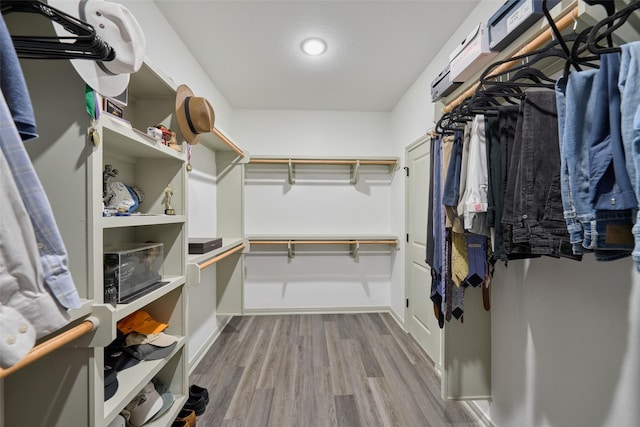 walk in closet with light wood-type flooring