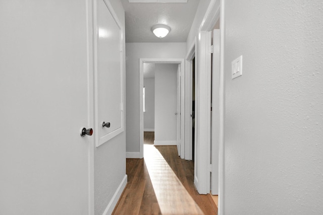 hall with dark hardwood / wood-style flooring