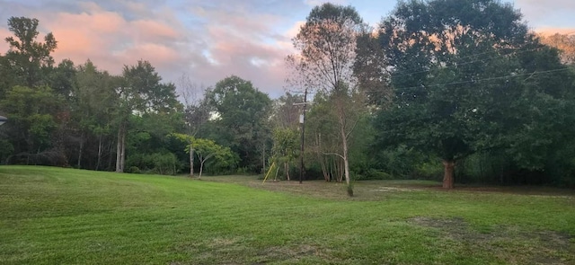 view of yard at dusk