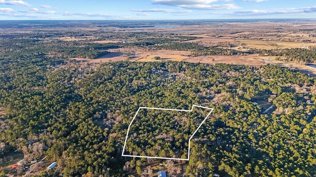 0 Camp Rd, Trinity TX, 75862 land for sale