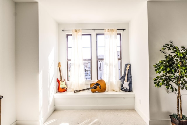 interior space with light colored carpet