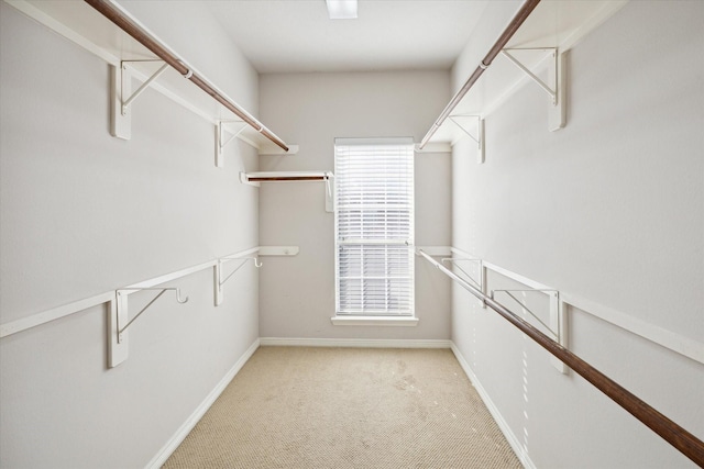 walk in closet with light colored carpet