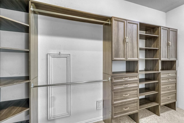 spacious closet with light colored carpet