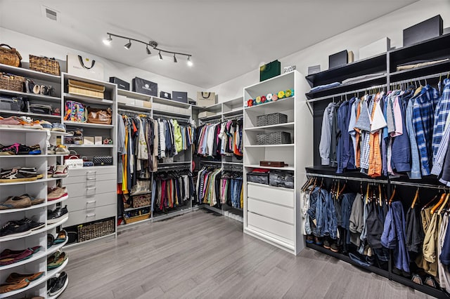 walk in closet featuring wood-type flooring