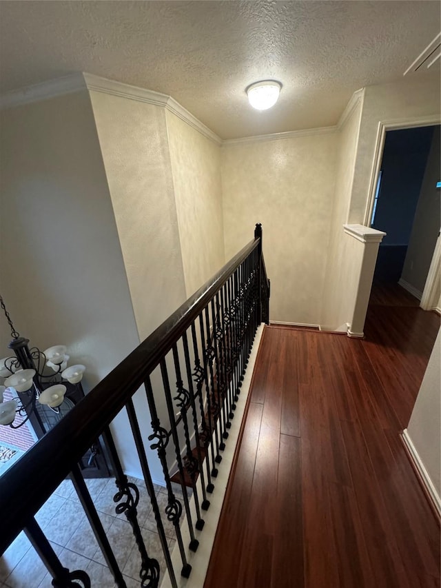 hall featuring crown molding, dark hardwood / wood-style floors, and a textured ceiling