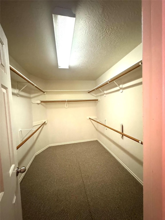 spacious closet featuring carpet