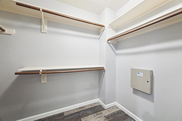 spacious closet featuring dark hardwood / wood-style flooring