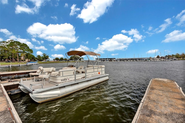 dock area with a water view