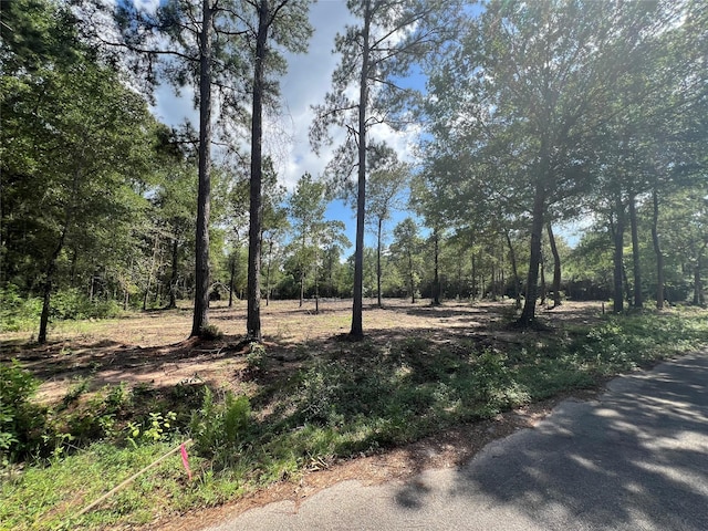 TBDLOT3 Deerwood Dr, Plantersville TX, 77363 land for sale