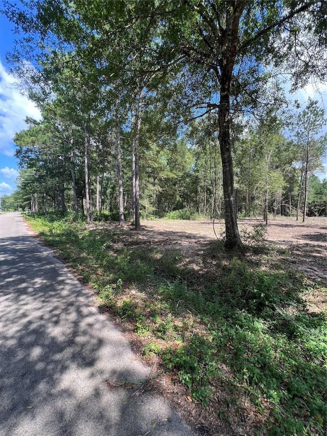 Listing photo 2 for TBDLOT3 Deerwood Dr, Plantersville TX 77363