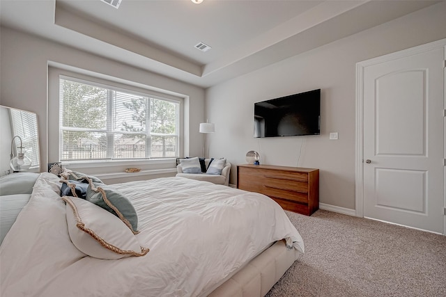 bedroom featuring a raised ceiling and carpet floors