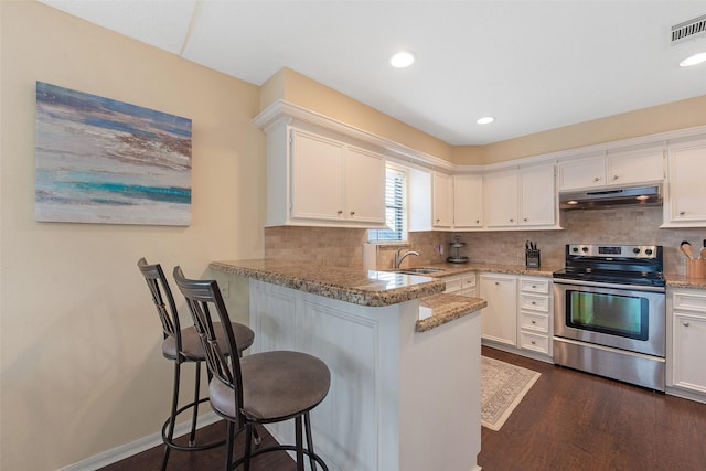 kitchen with white cabinetry, light stone counters, kitchen peninsula, and stainless steel range with electric cooktop